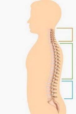 onurğa sütununun müxtəlif hissələrinin osteoxondrozu ilə məğlubiyyət